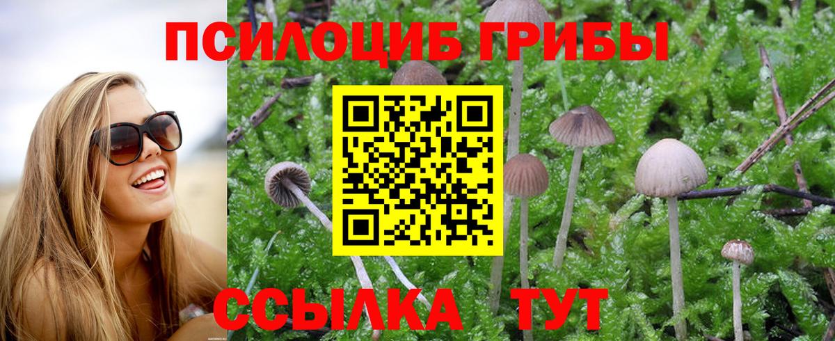 Галлюциногенные грибы прущие грибы Боровичи